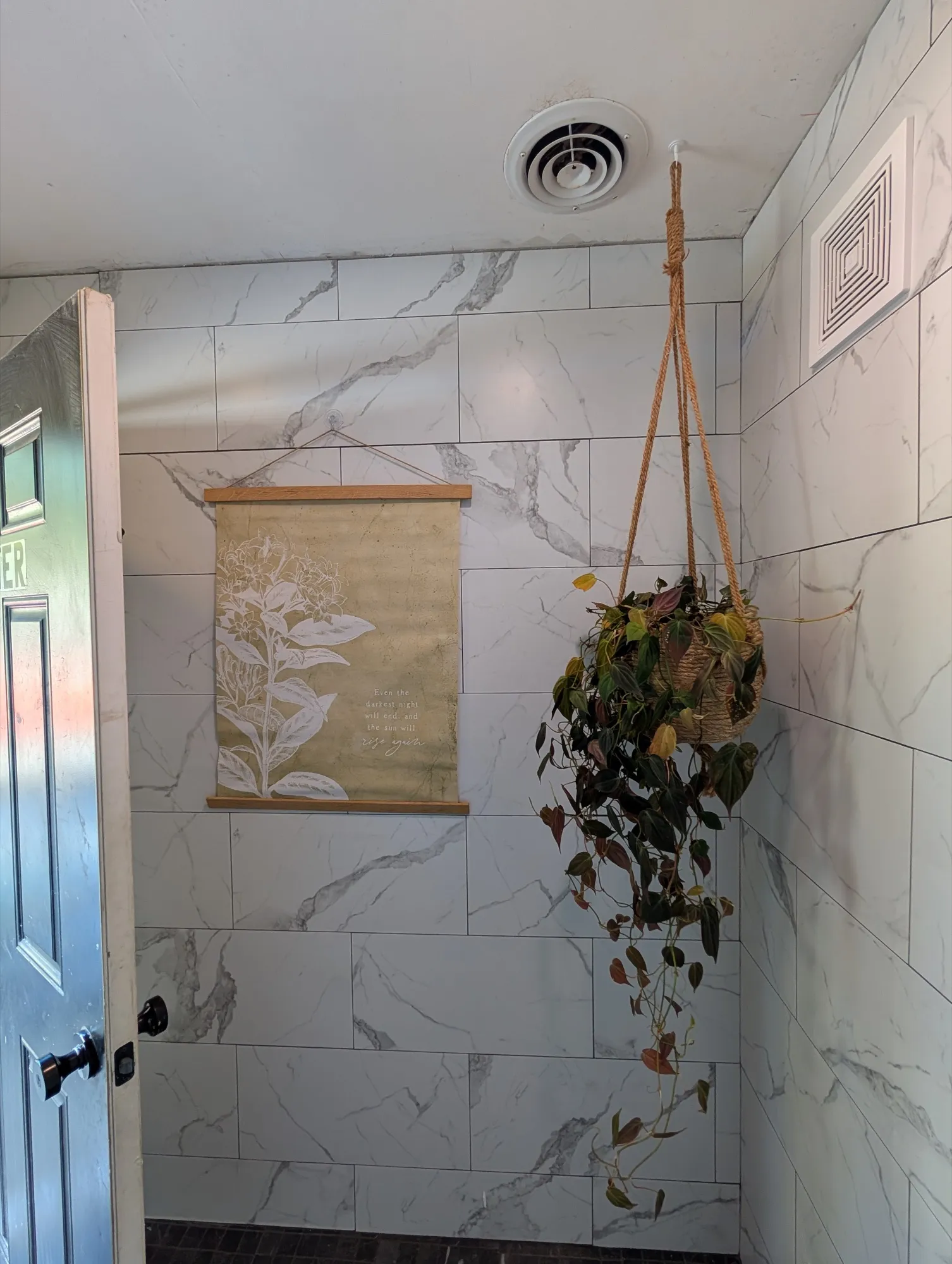 A bathhouse shower room with marble-look tile, a botanical print and a hanging plant