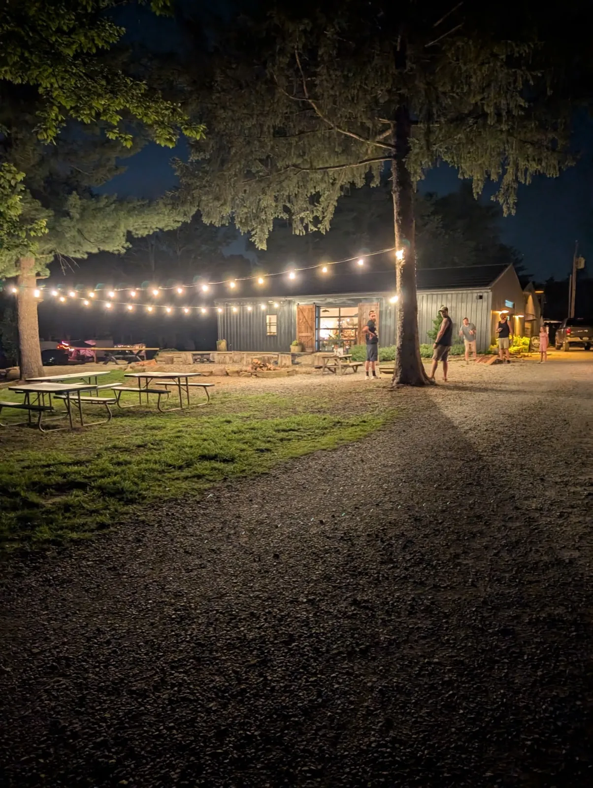 String lights strung across the lawn on a summer evening, with campers strolling below