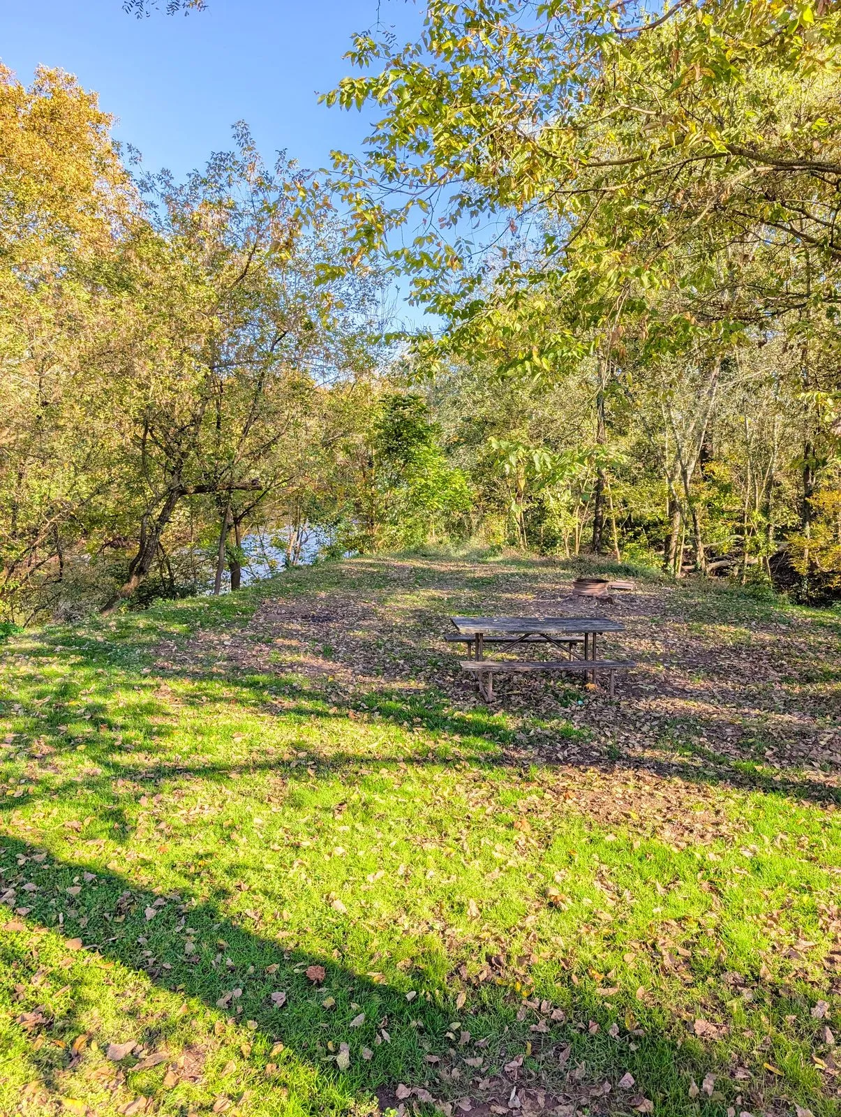 A grassy tent site with a picnic table under tall trees, the creek just beyond
